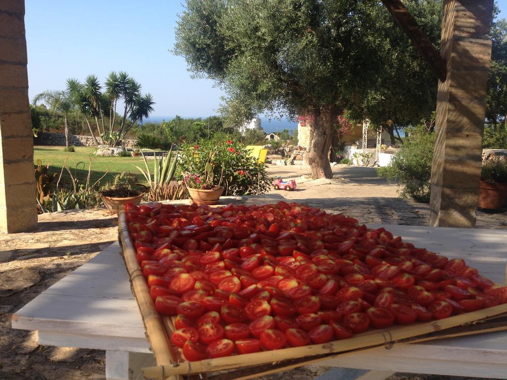 Contrada Borgin Bed & Breakfast Marina Di Pescoluse Exterior foto